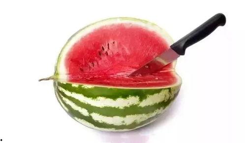 高端吃瓜视频在线观看