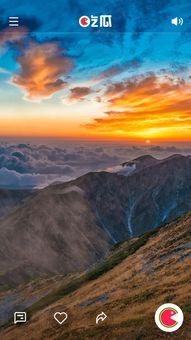 海角吃瓜真实视频下载,真实视频下载背后的故事