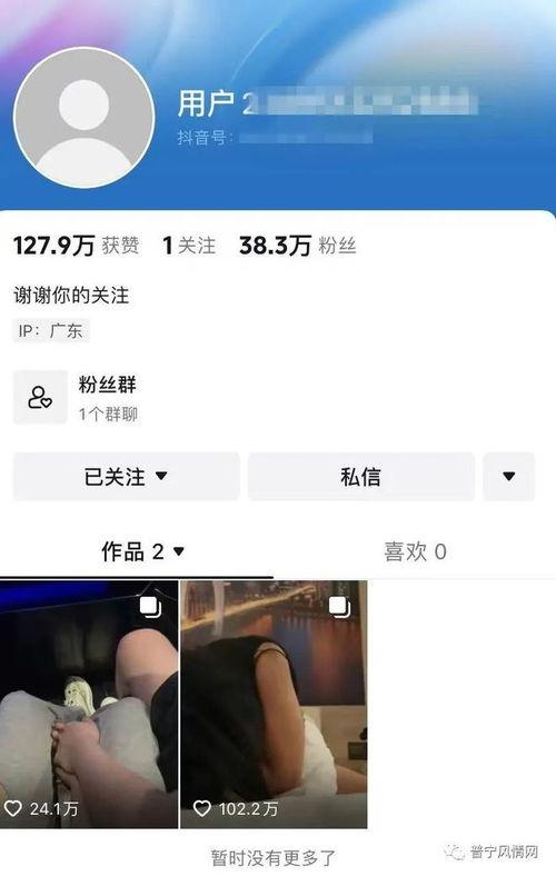 酒店吃瓜事件视频大全集,视频大全集深度解析