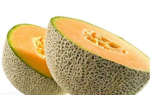 小武吃哈密瓜视频大全集,视频大全集精彩回顾