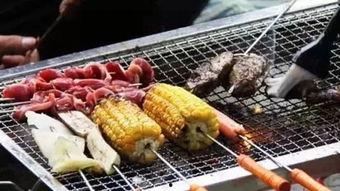 大瓜娃娃吃烧烤怎么做视频,大瓜娃娃烧烤美食制作教程