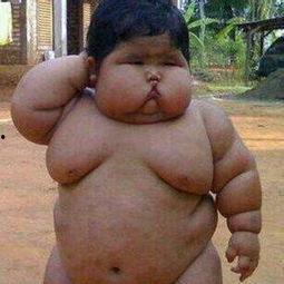 小胖墩吃瓜原视频,萌态十足，网友直呼可爱爆表！