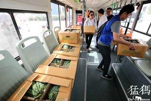 公交司机吃瓜视频,吃瓜视频引发网友热议