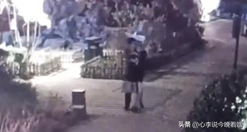 夏普吃瓜视频完整版,揭秘娱乐圈幕后真相