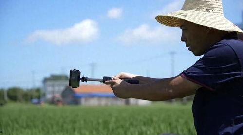 秋千吃瓜转场视频素材,瓜果飘香转场