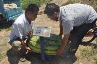 吴忠最新吃瓜事件视频,揭秘视频背后的惊人真相